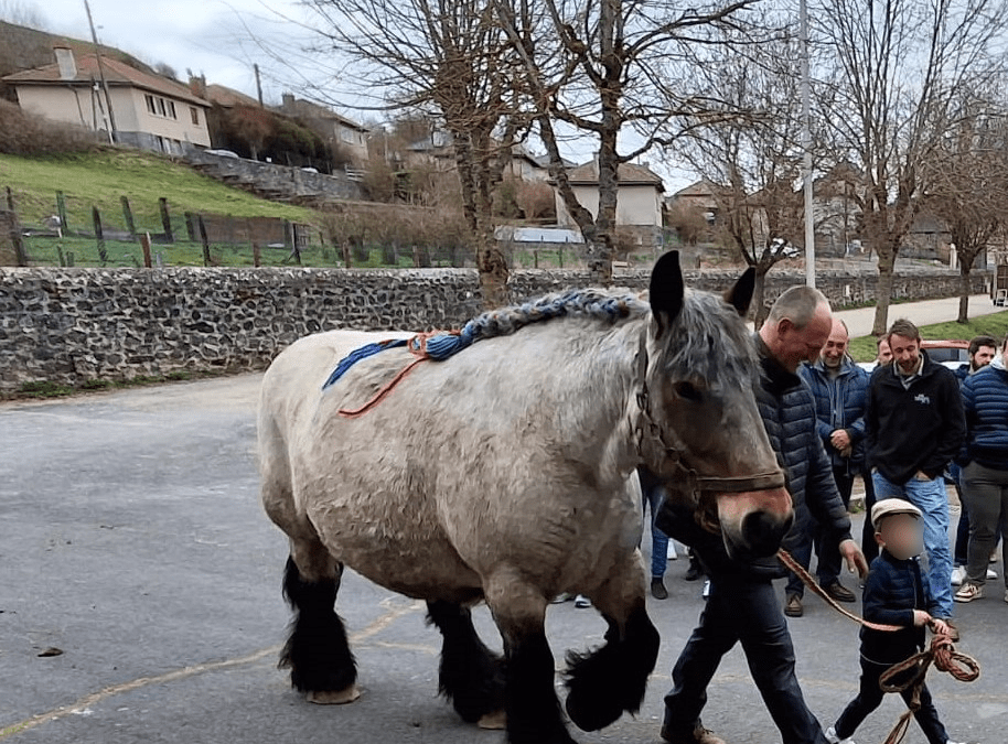 Assemblée générale des chevaux lourds - Dimanche 5 avril 2026
