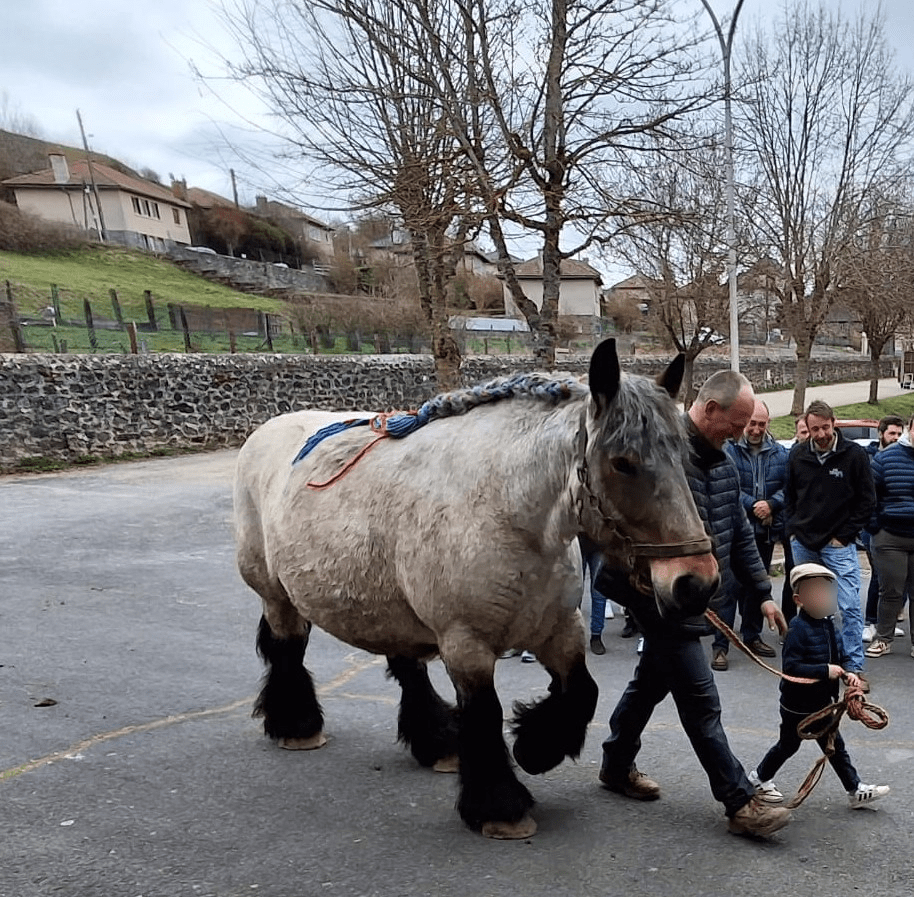 Assemblée générale des chevaux lourds - Dimanche 5 avril 2026