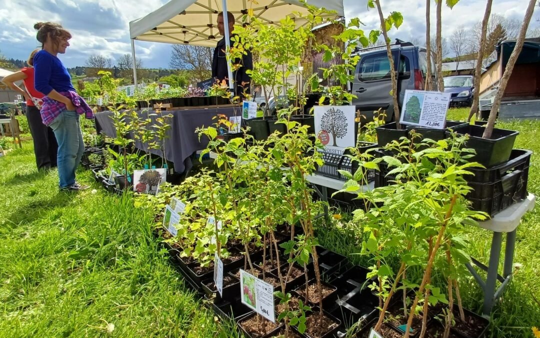 Foire aux plantes
