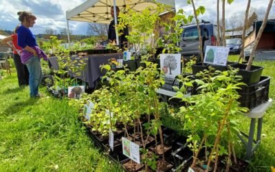 Foire aux plantes