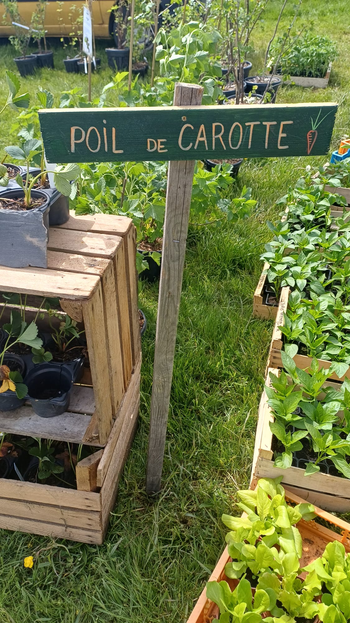 Foire aux plantes 1