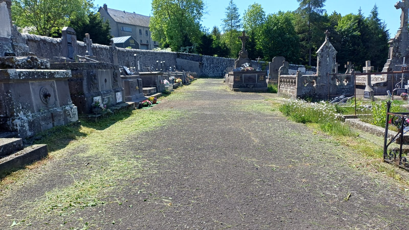 Début du nettoyage du cimetière