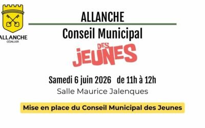Premier conseil municipal des jeunes